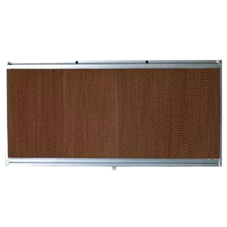 PuretechGlobal Kasalı Ped (150x300x15Cm)